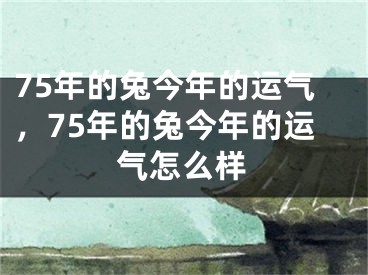 75年的兔今年的运气，75年的兔今年的运气怎么样