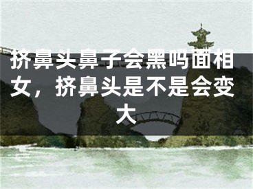 挤鼻头鼻子会黑吗面相女,挤鼻头是不是会变大