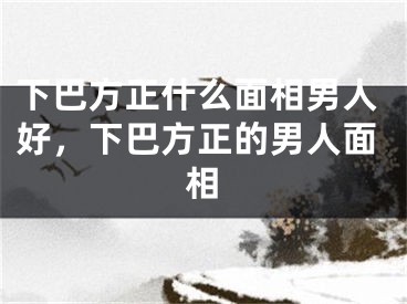 下巴方正什么面相男人好,下巴方正的男人面相