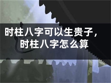 时柱八字可以生贵子,时柱八字怎么算