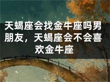 天蝎座会找金牛座吗男朋友,天蝎座会不会喜欢金牛座