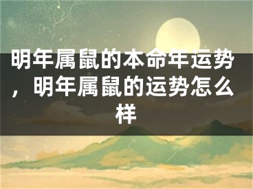 明年属鼠的本命年运势,明年属鼠的运势怎么样