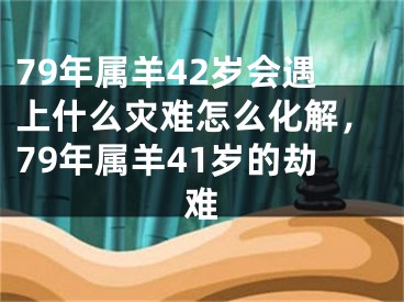 79年属羊42岁会遇上什么灾难怎么化解,79年属羊41岁的劫难