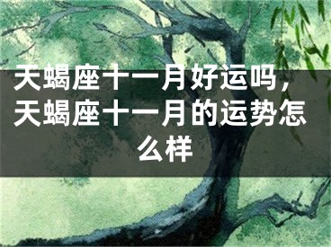 天蝎座十一月好运吗,天蝎座十一月的运势怎么样
