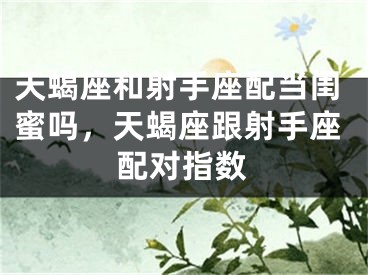 天蝎座和射手座配当闺蜜吗,天蝎座跟射手座配对指数
