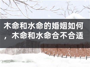 木命和水命的婚姻如何,木命和水命合不合适