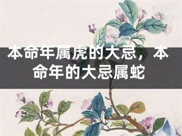 本命年属虎的大忌，本命年的大忌属蛇