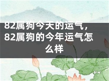 82属狗今天的运气,82属狗的今年运气怎么样