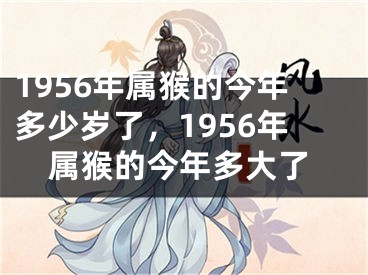 1956年属猴的今年多少岁了，1956年属猴的今年多大了
