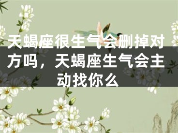 天蝎座很生气会删掉对方吗，天蝎座生气会主动找你么