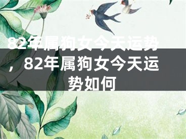 82年属狗女今天运势，82年属狗女今天运势如何