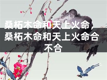 桑柘木命和天上火命,桑柘木命和天上火命合不合