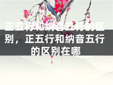 正五行和纳音五行的区别，正五行和纳音五行的区别在哪
