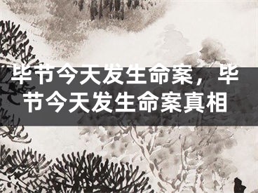 毕节今天发生命案,毕节今天发生命案真相