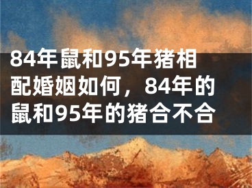 84年鼠和95年猪相配婚姻如何,84年的鼠和95年的猪合不合