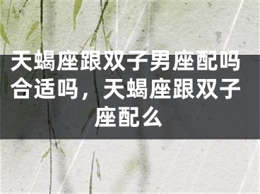 天蝎座跟双子男座配吗合适吗，天蝎座跟双子座配么