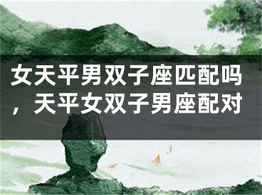女天平男双子座匹配吗，天平女双子男座配对