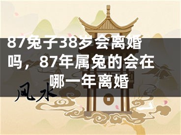 87兔子38岁会离婚吗，87年属兔的会在哪一年离婚