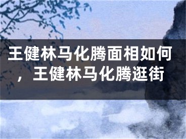 王健林马化腾面相如何，王健林马化腾逛街