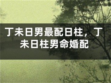丁未日男最配日柱,丁未日柱男命婚配