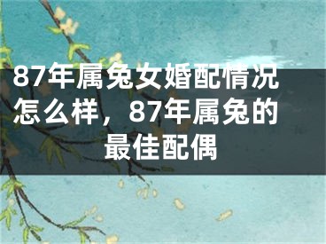 87年属兔女婚配情况怎么样，87年属兔的最佳配偶