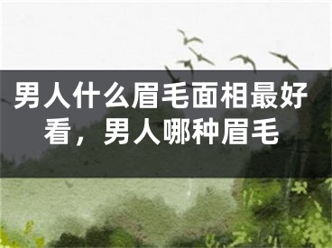 男人什么眉毛面相最好看,男人哪种眉毛