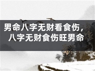 男命八字无财看食伤,八字无财食伤旺男命