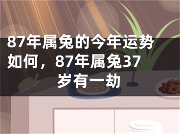87年属兔的今年运势如何，87年属兔37岁有一劫