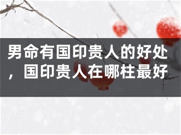 男命有国印贵人的好处，国印贵人在哪柱最好