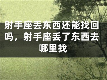 射手座丢东西还能找回吗,射手座丢了东西去哪里找