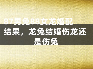 87男兔88女龙婚配结果，龙兔结婚伤龙还是伤兔