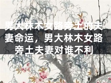 男大林木女路旁土的夫妻命运,男大林木女路旁土夫妻对谁不利