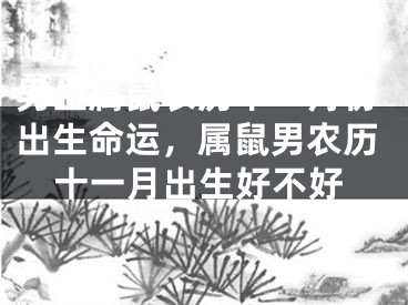 男生属鼠农历十一月份出生命运,属鼠男农历十一月出生好不好