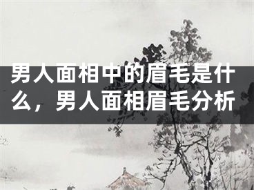 男人面相中的眉毛是什么,男人面相眉毛分析