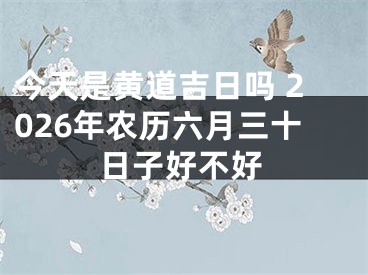 今天是黄道吉日吗 2026年农历六月三十日子好不好