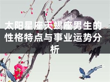太阳星座天蝎座男生的性格特点与事业运势分析