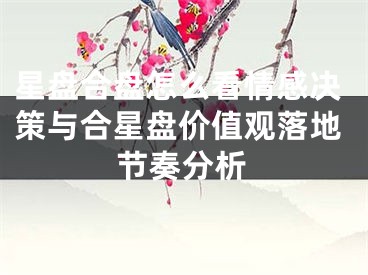 星盘合盘怎么看情感决策与合星盘价值观落地节奏分析