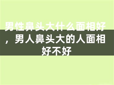 男性鼻头大什么面相好,男人鼻头大的人面相好不好