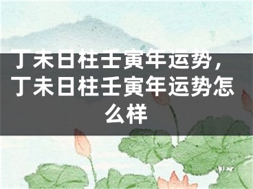 丁未日柱壬寅年运势，丁未日柱壬寅年运势怎么样