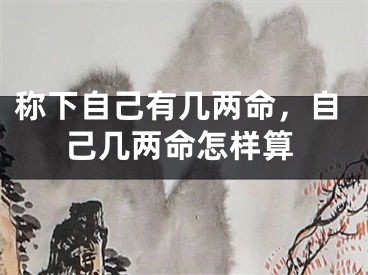 称下自己有几两命，自己几两命怎样算