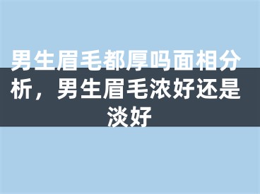 男生眉毛都厚吗面相分析，男生眉毛浓好还是淡好