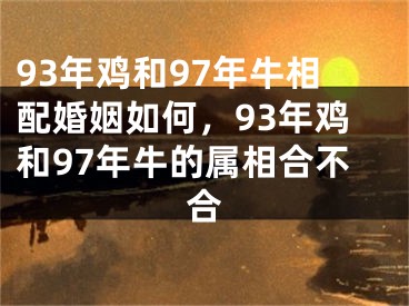93年鸡和97年牛相配婚姻如何，93年鸡和97年牛的属相合不合