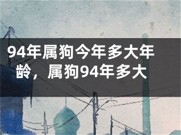 94年属狗今年多大年龄,属狗94年多大