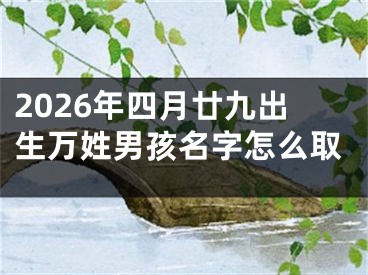 2026年四月廿九出生万姓男孩名字怎么取