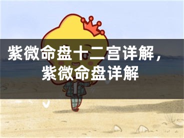 紫微命盘十二宫详解，紫微命盘详解