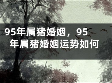 95年属猪婚姻,95年属猪婚姻运势如何