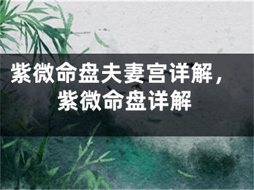 紫微命盘夫妻宫详解，紫微命盘详解