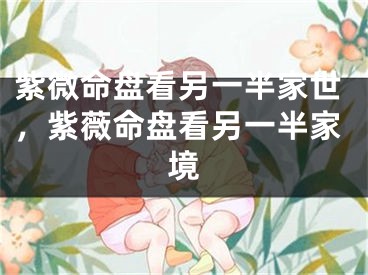 紫微命盘看另一半家世,紫薇命盘看另一半家境