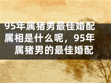 95年属猪男最佳婚配属相是什么呢,95年属猪男的最佳婚配