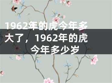 1962年的虎今年多大了，1962年的虎今年多少岁